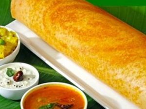 Plain Dosa